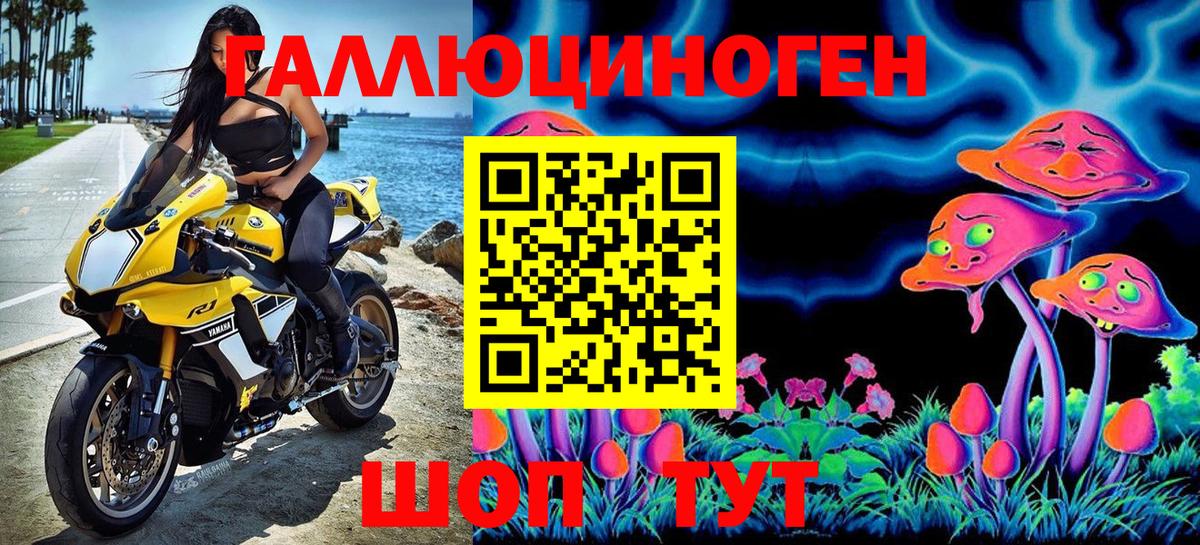 Псилоцибиновые грибы мицелий Дивногорск